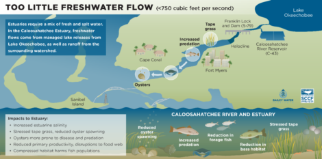 article image - GUEST COMMENTARY 1